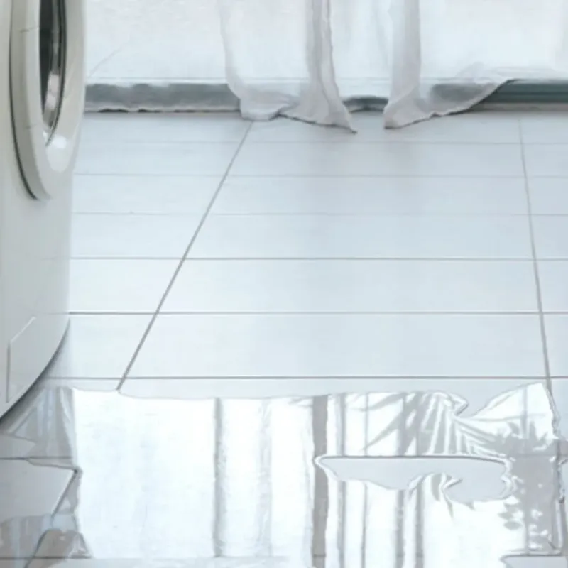 Appliance Leak Cleanup in Las Lomas, TX