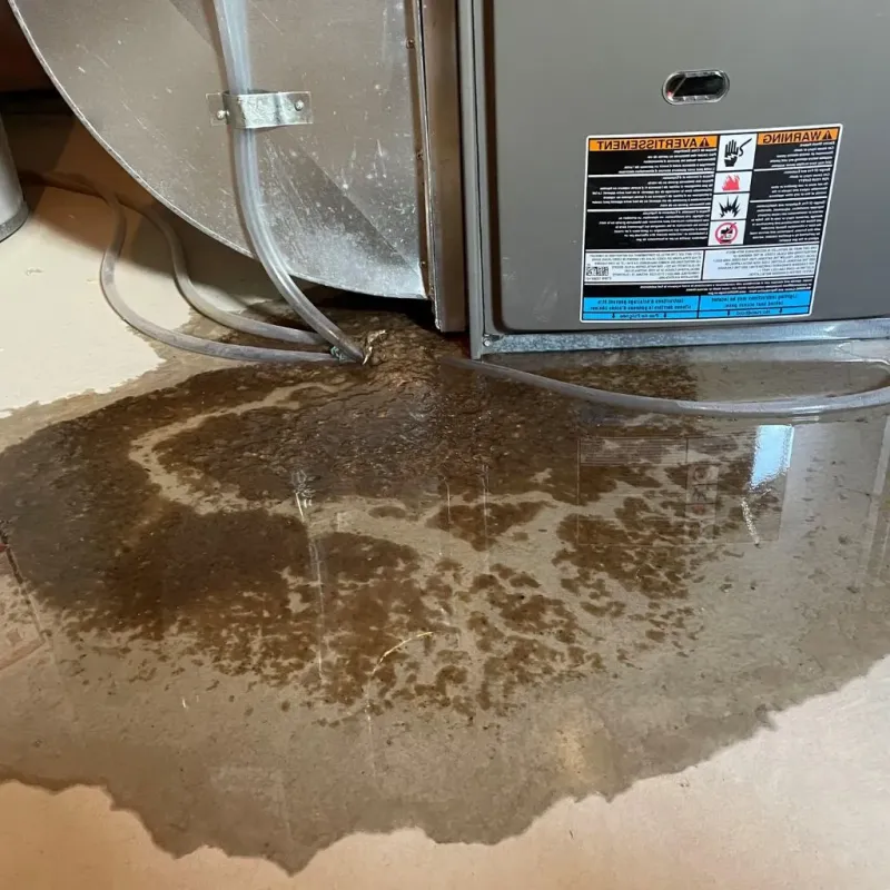 Pipe Burst and Leak Restoration in Las Lomas, TX