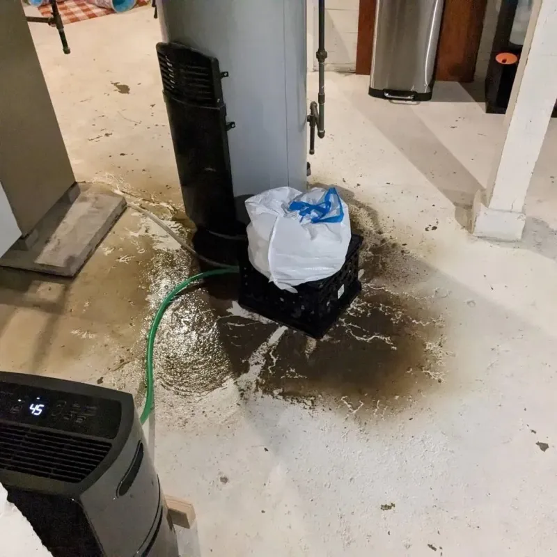 Sewage Backup Cleanup Service in Las Lomas, TX